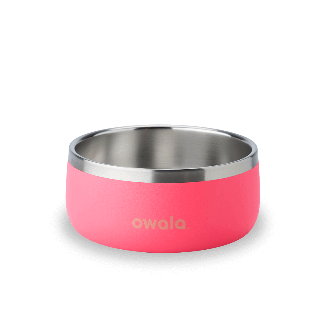 Pet Bowl (S4U4M)